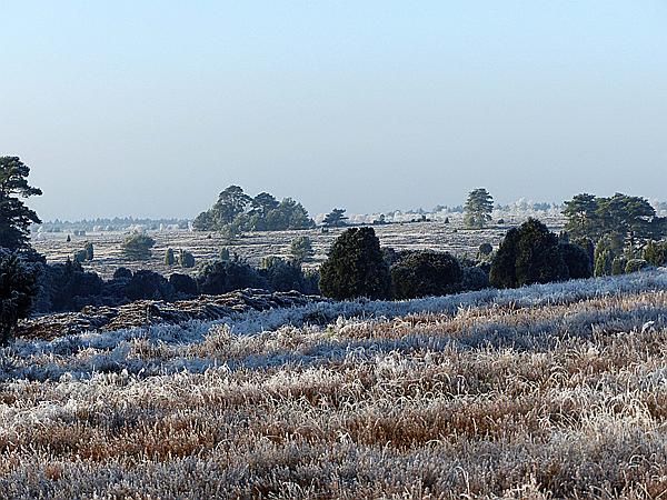 Foto:: Winterwanderung / Oberhaverbeck / 02.01.2020 (Foto,Fotos,Bilder,Bild,)