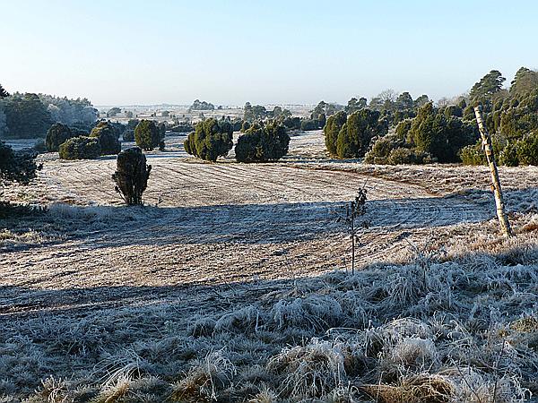 Foto:: Winterwanderung / Oberhaverbeck / 02.01.2020 (Foto,Fotos,Bilder,Bild,)