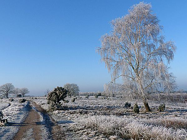 Foto:: Winterwanderung / Oberhaverbeck / 02.01.2020 (Foto,Fotos,Bilder,Bild,)