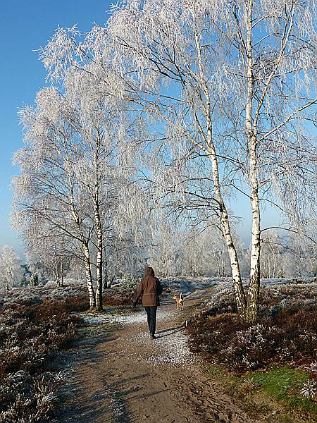 Foto:: Winterwanderung / Oberhaverbeck / 02.01.2020 (Foto,Fotos,Bilder,Bild,)