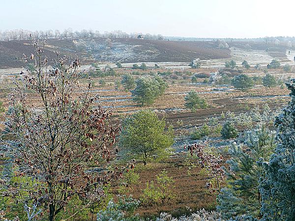 Foto:: Winterwanderung / Oberhaverbeck / 02.01.2020 (Foto,Fotos,Bilder,Bild,)