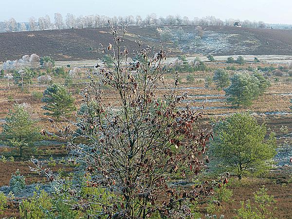 Foto:: Winterwanderung / Oberhaverbeck / 02.01.2020 (Foto,Fotos,Bilder,Bild,)