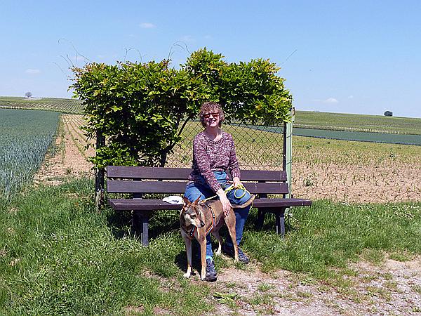 Foto:: Rundgang / Heuchelheim / 17.05.2020 (Foto,Fotos,Bilder,Bild,)