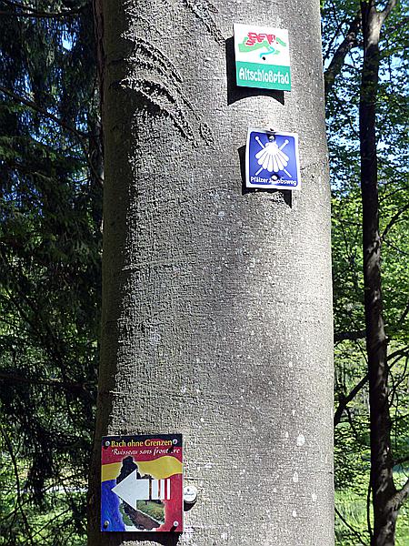 Foto:: Altschlosspfad / Eppenbrunn / 18.05.2020 (Foto,Fotos,Bilder,Bild,)