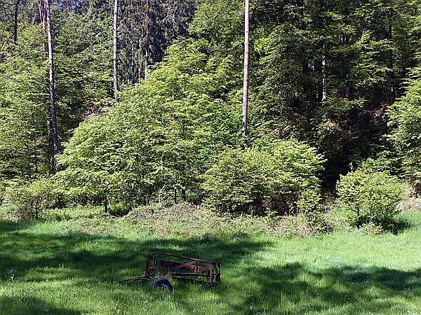 Foto:: Altschlosspfad / Eppenbrunn / 18.05.2020 (Foto,Fotos,Bilder,Bild,)