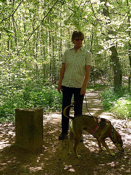 Foto:: Altschlosspfad / Eppenbrunn / 18.05.2020 (Foto,Fotos,Bilder,Bild,)