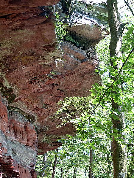 Foto:: Altschlosspfad / Eppenbrunn / 18.05.2020 (Foto,Fotos,Bilder,Bild,)