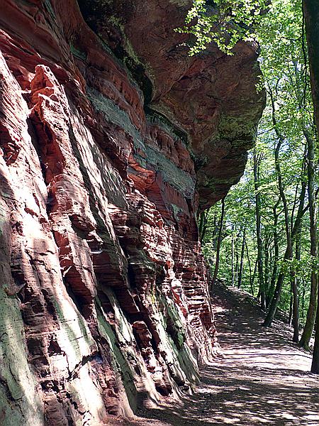 Foto:: Altschlosspfad / Eppenbrunn / 18.05.2020 (Foto,Fotos,Bilder,Bild,)