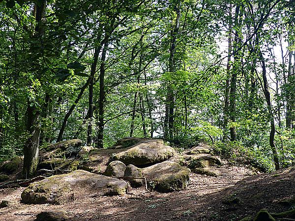 Foto:: Ganerbenweg / Bad Duerkheim / 20.05.2020 (Foto,Fotos,Bilder,Bild,)