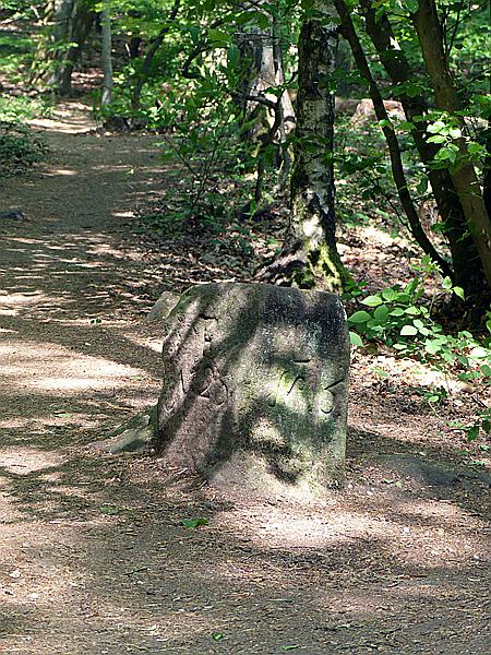 Foto:: Ganerbenweg / Bad Duerkheim / 20.05.2020 (Foto,Fotos,Bilder,Bild,)