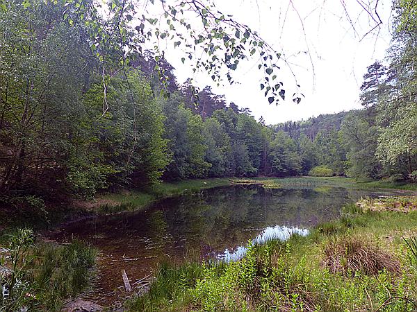 Foto:: Ganerbenweg / Bad Duerkheim / 20.05.2020 (Foto,Fotos,Bilder,Bild,)