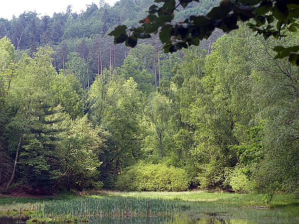 Foto:: Ganerbenweg / Bad Duerkheim / 20.05.2020 (Foto,Fotos,Bilder,Bild,)