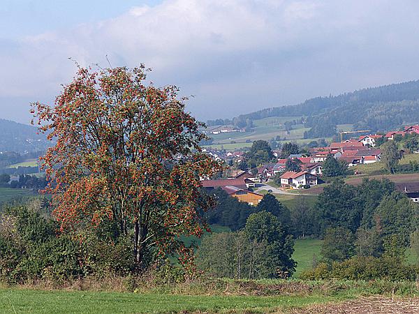 Foto:: Rundgang / Arrach-Haibuehl / 29.09.2020 (Foto,Fotos,Bilder,Bild,)