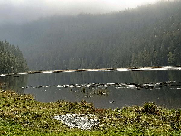 Foto:: Kleiner Arbersee / Lohberg / 29.09.2020 (Foto,Fotos,Bilder,Bild,)