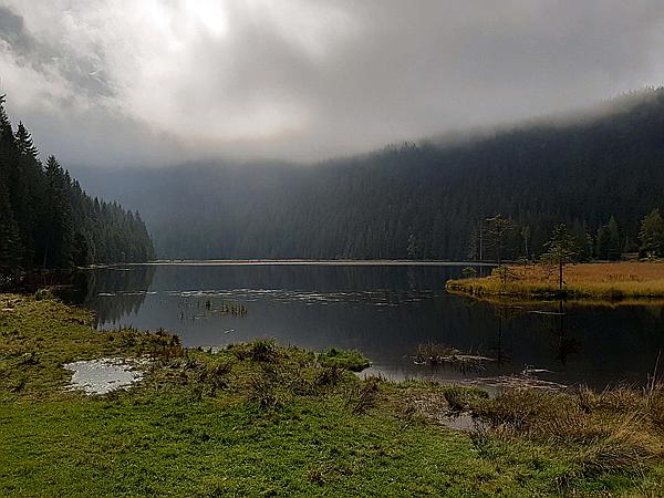 Foto:: Kleiner Arbersee / Lohberg / 29.09.2020 (Foto,Fotos,Bilder,Bild,)