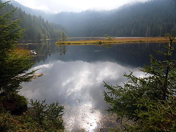 Foto:: Kleiner Arbersee / Lohberg / 29.09.2020 (Foto,Fotos,Bilder,Bild,)