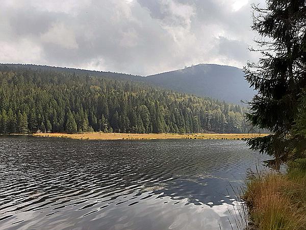 Foto:: Kleiner Arbersee / Lohberg / 29.09.2020 (Foto,Fotos,Bilder,Bild,)