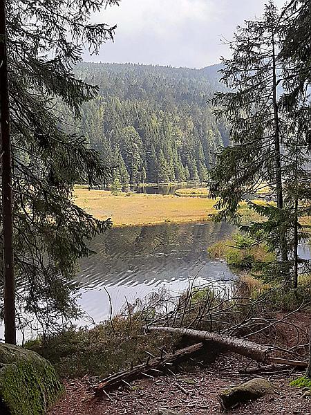 Foto:: Kleiner Arbersee / Lohberg / 29.09.2020 (Foto,Fotos,Bilder,Bild,)