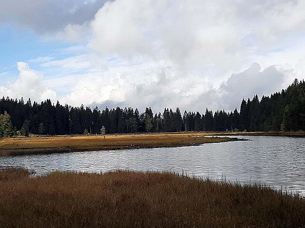 Foto:: Kleiner Arbersee / Lohberg / 29.09.2020 (Foto,Fotos,Bilder,Bild,)