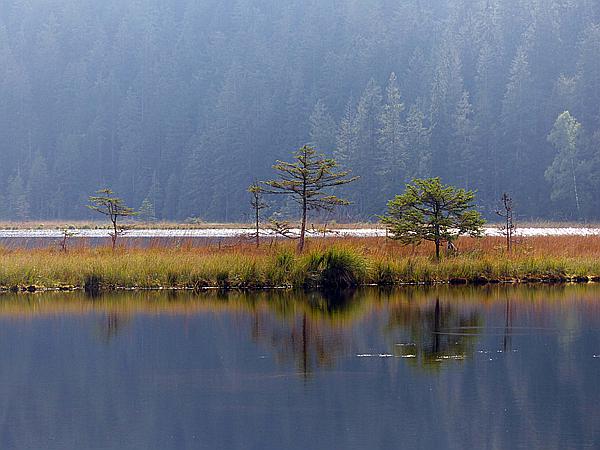 Foto:: Kleiner Arbersee / Lohberg / 29.09.2020 (Foto,Fotos,Bilder,Bild,)