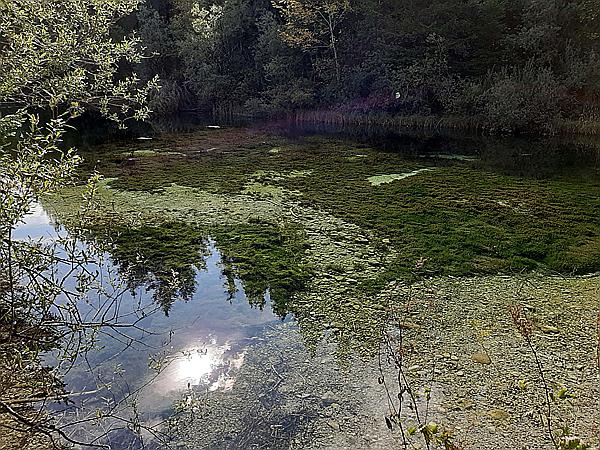 Foto:: Wanderung / Kruen / 30.09.2020 (Foto,Fotos,Bilder,Bild,)