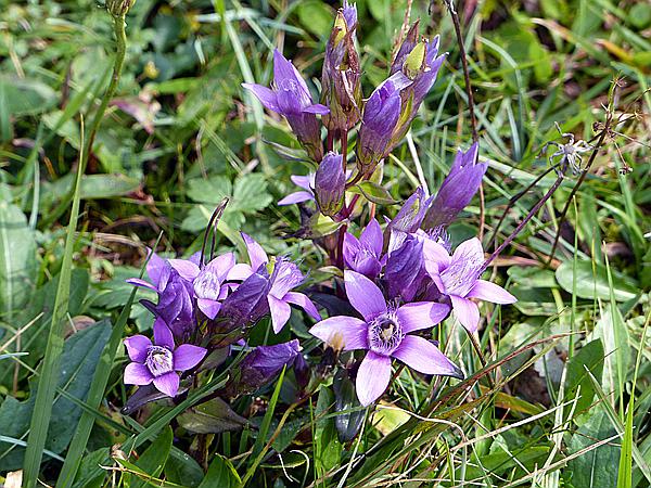 Foto:: Wanderung / Mittenwald / 01.10.2020 (Foto,Fotos,Bilder,Bild,)