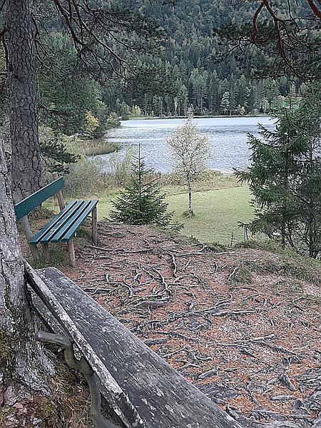 Foto:: Spaziergang / Mittenwald / 02.10.2020 (Foto,Fotos,Bilder,Bild,)