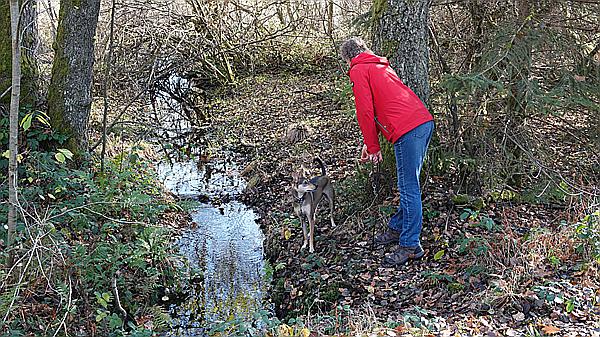 Foto:: Wanderung Stille Winkel / Eppenbrunn / 14.11.2020 (Foto,Fotos,Bilder,Bild,)