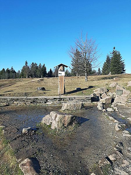 Foto:: Kahler Asten / Winterberg / 28.11.2020 (Foto,Fotos,Bilder,Bild,)