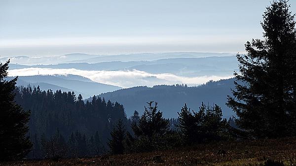 Foto:: Kahler Asten / Winterberg / 28.11.2020 (Foto,Fotos,Bilder,Bild,)