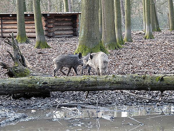 Foto:: Wanderung / Krefeld / 22.02.2021 (Foto,Fotos,Bilder,Bild,)