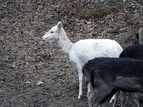 Foto:: Wanderung / Krefeld / 22.02.2021 (Foto,Fotos,Bilder,Bild,)