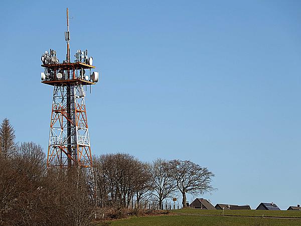 Foto:: Wanderung / Wiblingwerde / 28.02.2021 (Foto,Fotos,Bilder,Bild,)