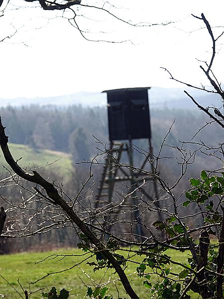 Foto:: Wanderung / Wiblingwerde / 28.02.2021 (Foto,Fotos,Bilder,Bild,)