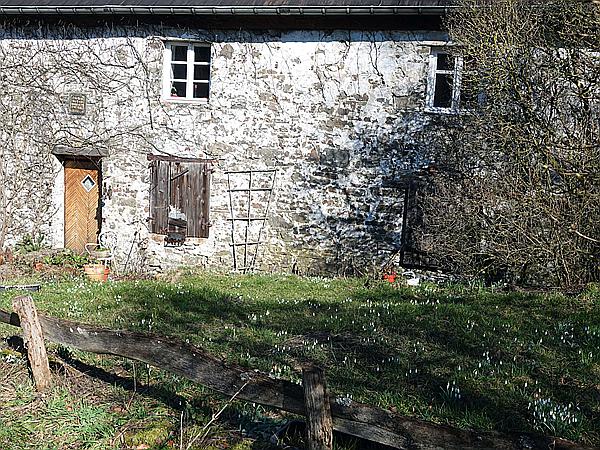 Foto:: Wanderung / Wiblingwerde / 28.02.2021 (Foto,Fotos,Bilder,Bild,)