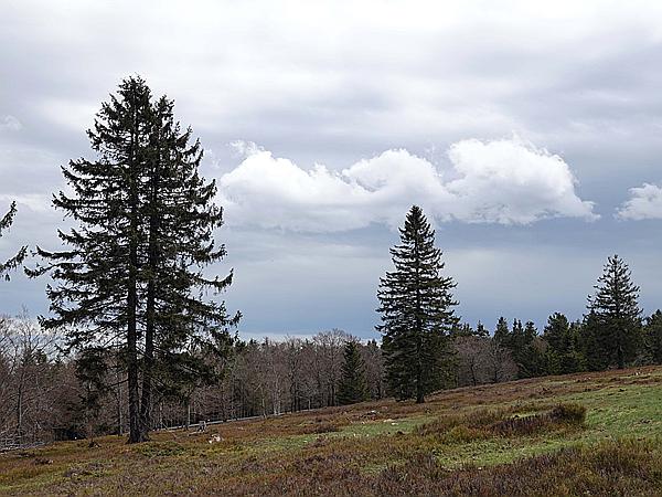 Foto:: Kahler Asten / Winterberg / 10.05.2021 (Foto,Fotos,Bilder,Bild,)
