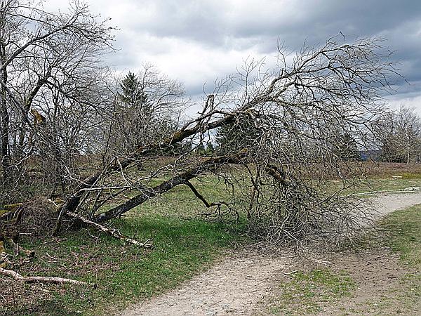 Foto:: Kahler Asten / Winterberg / 10.05.2021 (Foto,Fotos,Bilder,Bild,)