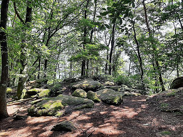 Foto:: Ganerbenweg / Bad Duerkheim / 18.07.2021 (Foto,Fotos,Bilder,Bild,)