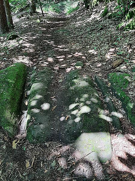 Foto:: Ganerbenweg / Bad Duerkheim / 18.07.2021 (Foto,Fotos,Bilder,Bild,)