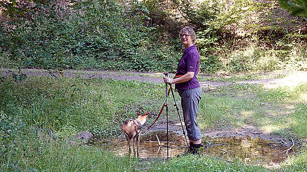 Foto:: Altschlosswanderung / Eppenbrunn / 19.07.2021 (Foto,Fotos,Bilder,Bild,)