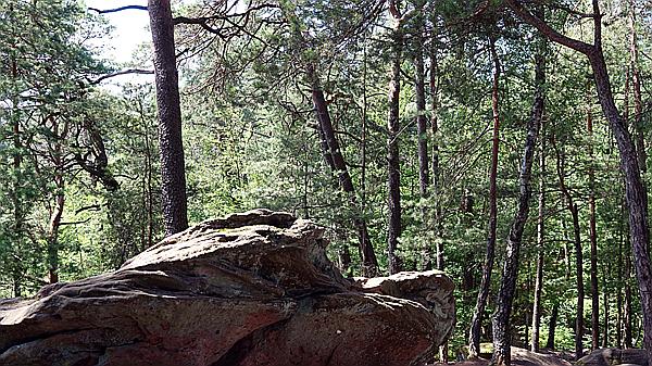 Foto:: Altschlosswanderung / Eppenbrunn / 19.07.2021 (Foto,Fotos,Bilder,Bild,)