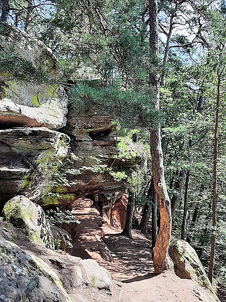 Foto:: Altschlosswanderung / Eppenbrunn / 19.07.2021 (Foto,Fotos,Bilder,Bild,)
