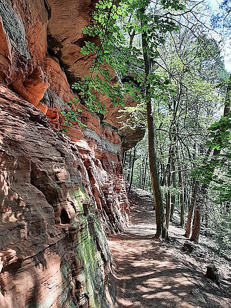 Foto:: Altschlosswanderung / Eppenbrunn / 19.07.2021 (Foto,Fotos,Bilder,Bild,)