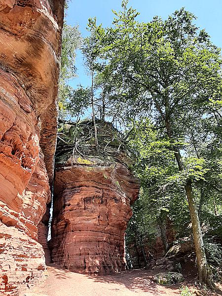 Foto:: Altschlosswanderung / Eppenbrunn / 19.07.2021 (Foto,Fotos,Bilder,Bild,)