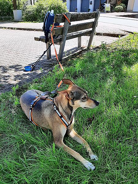 Foto:: Altschlosswanderung / Eppenbrunn / 19.07.2021 (Foto,Fotos,Bilder,Bild,)