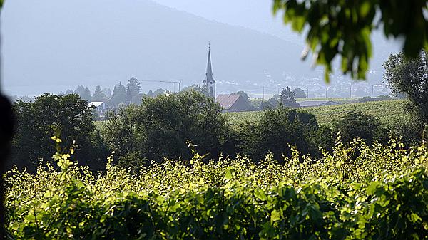 Foto:: Wanderung / Goecklingen - Heuchelheim / 19.07.2021 (Foto,Fotos,Bilder,Bild,)