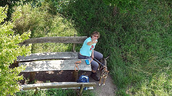 Foto:: Dornroeschenwanderweg / Doerrenbach / 20.07.2021 (Foto,Fotos,Bilder,Bild,)