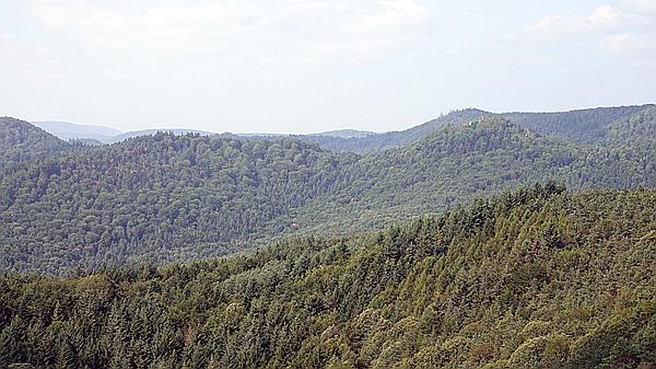 Foto:: Dornroeschenwanderweg / Doerrenbach / 20.07.2021 (Foto,Fotos,Bilder,Bild,)