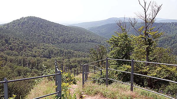 Foto:: Dornroeschenwanderweg / Doerrenbach / 20.07.2021 (Foto,Fotos,Bilder,Bild,)
