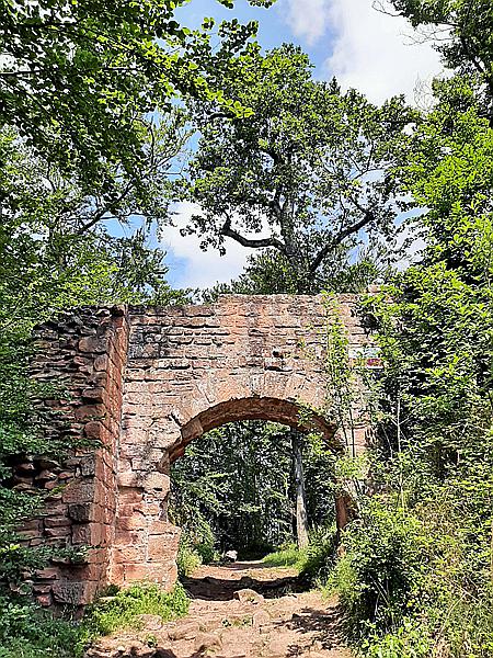 Foto:: Dornroeschenwanderweg / Doerrenbach / 20.07.2021 (Foto,Fotos,Bilder,Bild,)